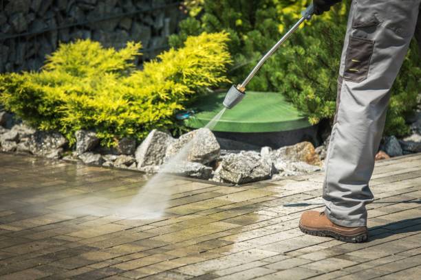 Professional Pressure Washing in Port Vue, PA